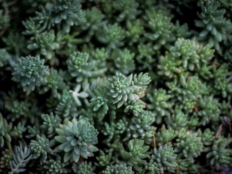 DC机器人运维<br>自动管理/欢迎语/签到功能配置